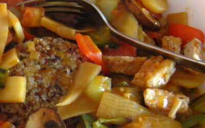 Sweet and Sour Stir-fry: Wednesday, April 24, 2024