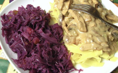Stroganoff with Red Cabbage, Tuesday, February 21, 2023