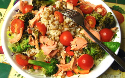 Salmon Rice Bowl: Friday, March 10, 2023